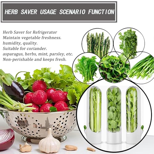 Herb Saver for Refrigerator (3 Count)
