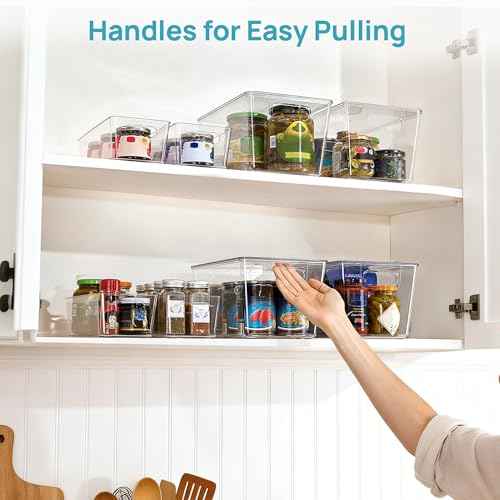 10 Pack Clear Storage Bins with Lid Set for Pantry Organizer (10 Count)