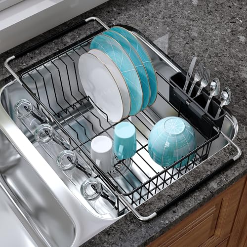 Black Dish Drying Rack in Sink