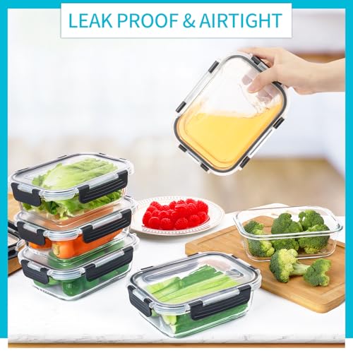 10 Pack Glass Meal Prep Containers (10 Count)