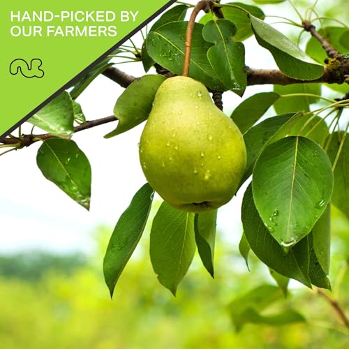 Dried California Pears (16 Ounce)