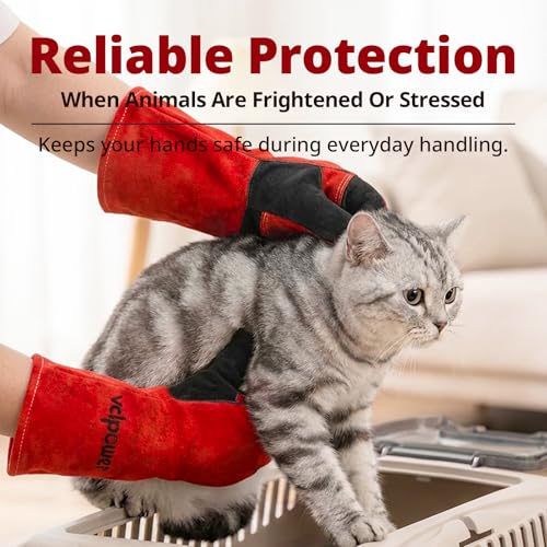 Animal handling Gloves 16