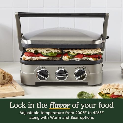 Griddler Indoor Grill