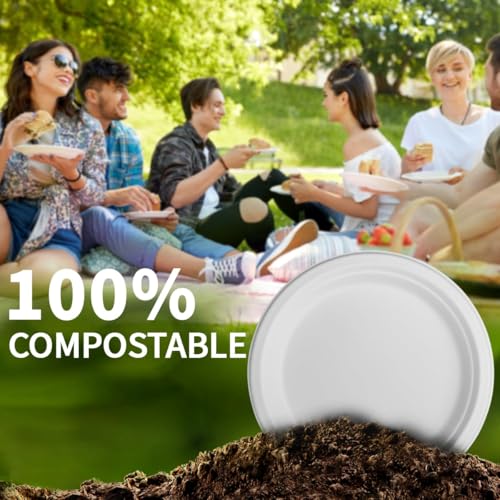 10 Inch Compostable Paper Plates【White 150 Pack】 (150 Count)