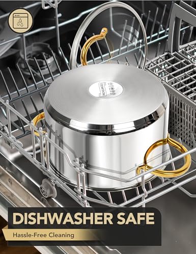 Stainless Steel Pots