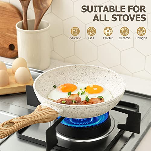 10 Inch Nonstick Frying Pan with Lid