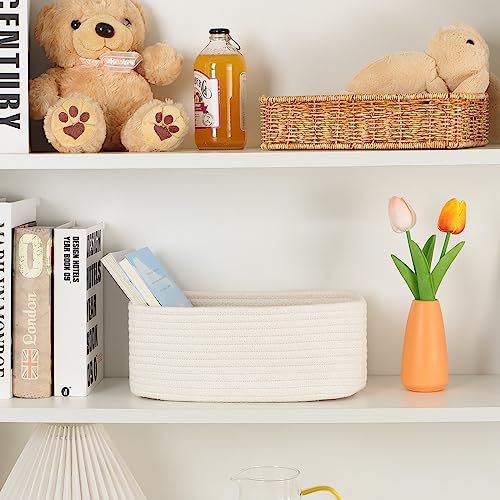Small Storage Baskets for Organizing (4 Count)