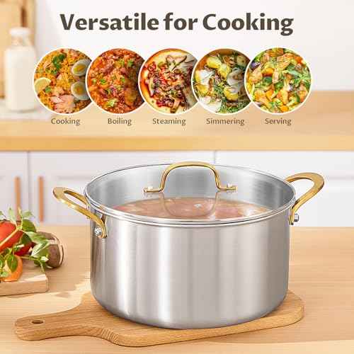 12 QT Stock Pot with Lid