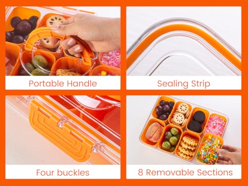 Divided Serving Tray with Lid and Handle