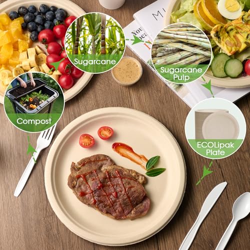 150 Pack 10 inch Compostable Disposable Paper Plates for Party (150 Count)