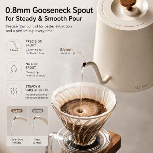 Gooseneck Electric Kettle with Temperature Control