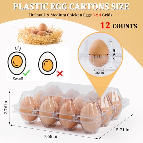 60 Pack Plastic Egg Cartons 12 Count (60 Count)