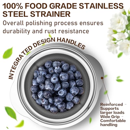 Stainless Steel Strainers for Kitchen (2 Count)
