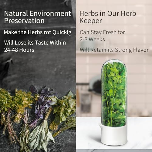 Herb Keeper for Refrigerator