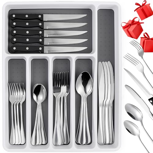 49 Piece Silverware Set with Organizer (49 Count)