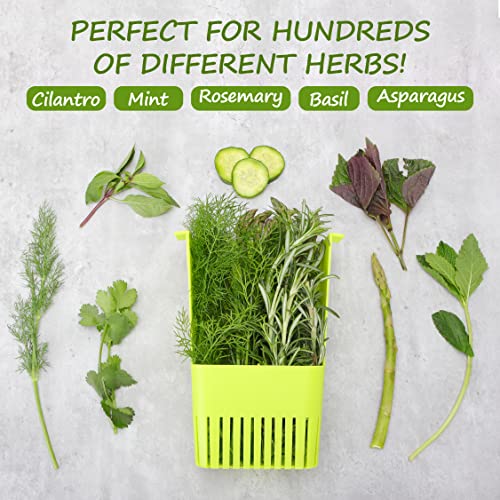 2 Pack Fresh Herb Keeper for Refrigerator (2 Count)