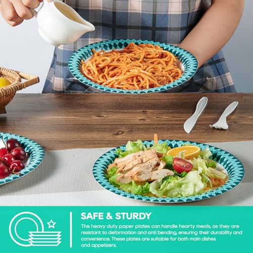 Paper Plates Disposable (360 Count)
