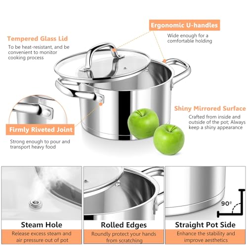 5 Quarts Stock Pot with Lid
