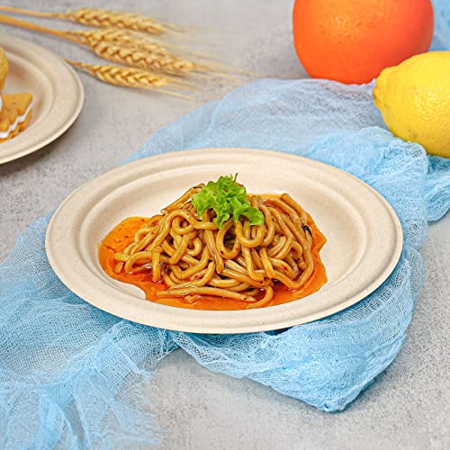 Small Paper Plates 7 Inch 150 Pack Compostable Dessert Plates (150 Count)