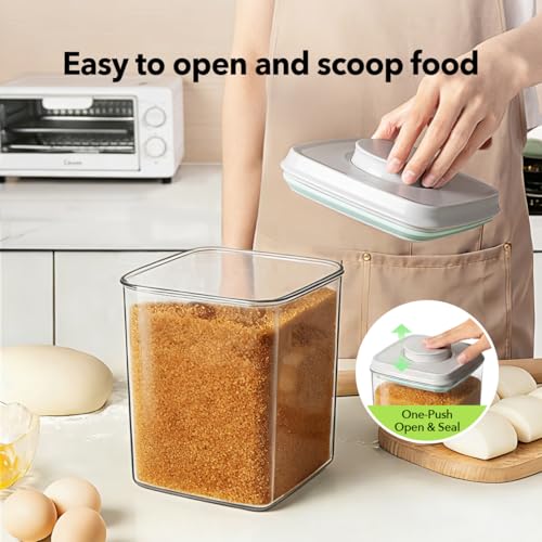 Food Storage Container Set 2.8 Qt ×2 with Lids (2 Count)