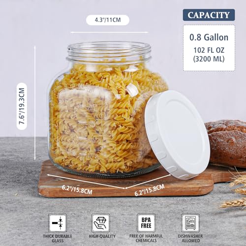 0.8Gal Glass Jar with Lid (2 Count)