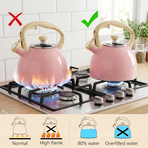 Whistling Tea Kettle for Stove Top