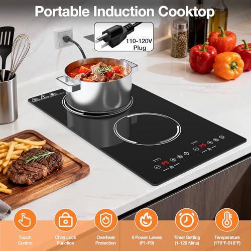 Double Induction Cooktop