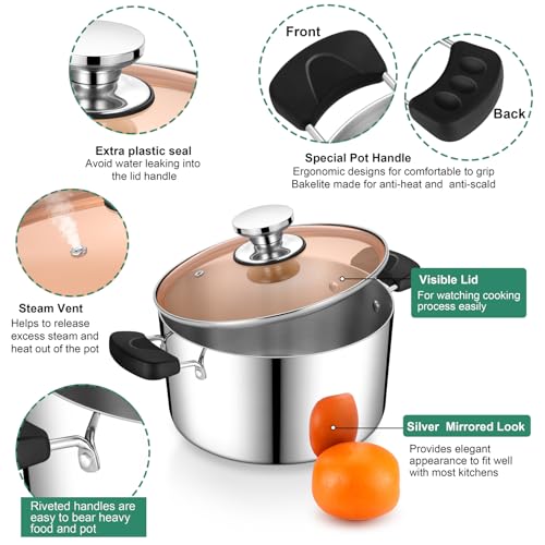6 Qt Stockpot with Lid