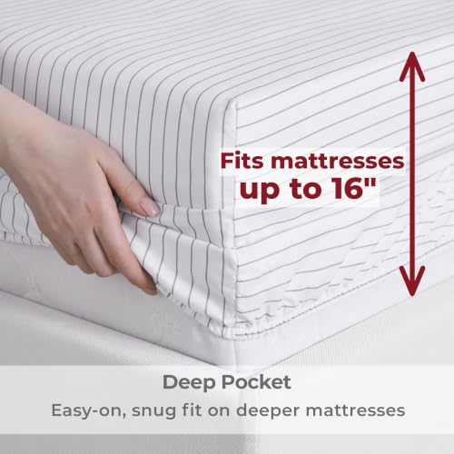 Iconic 4 Piece Microfiber Sheet Set
