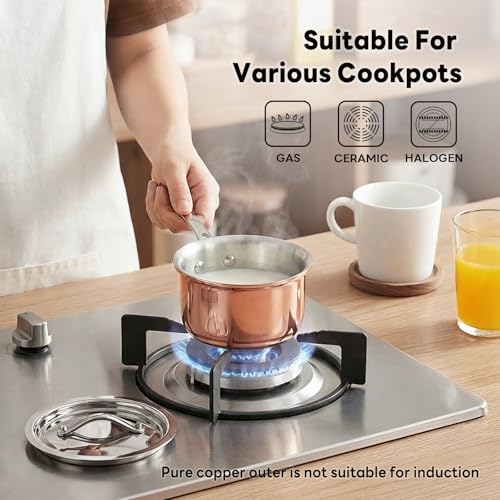 Mini Sauce Pan with Lid