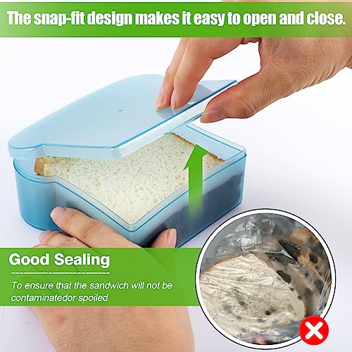 20 Oz Sandwich Containers for Kids (4 Count)