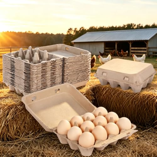 25 Pack Egg Cartons Bulk (12 Count)