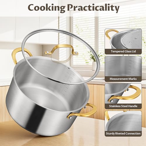 8 QT Stock Pot with Lid