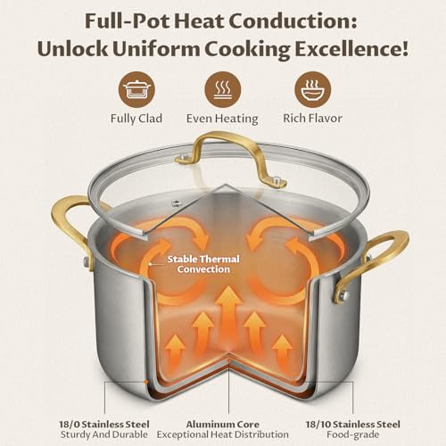 6 QT Stock Pot with Lid