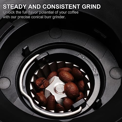 Electric Coffee Grinder
