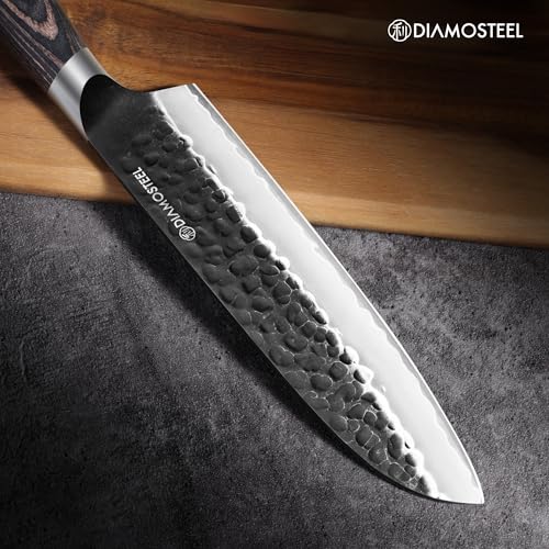 Japanese Santoku Knife