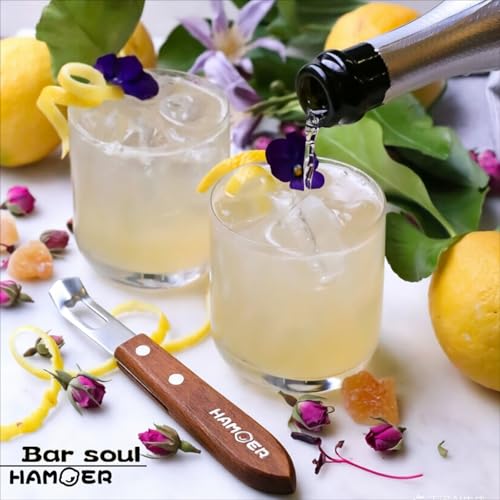 Channel Knife for Cocktails Lemon Twist Tool with a storage box