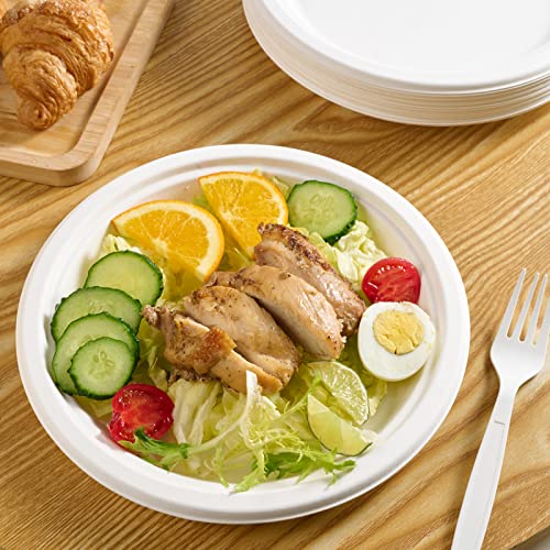 150 Pack Paper Plates 9 inch 100% Compostable (150 Count)