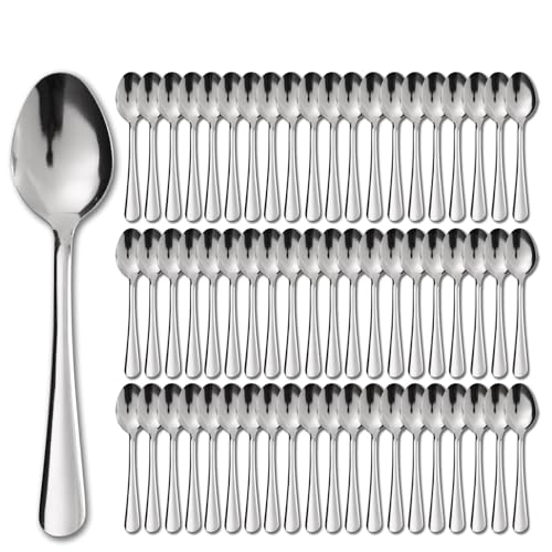 Windsor 60 Pcs Stainless Steel Dinner Spoons (60 Count)