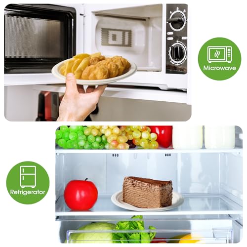 6 in 500 Pack White Disposable Compostable Dessert Paper Plates (500 Count)