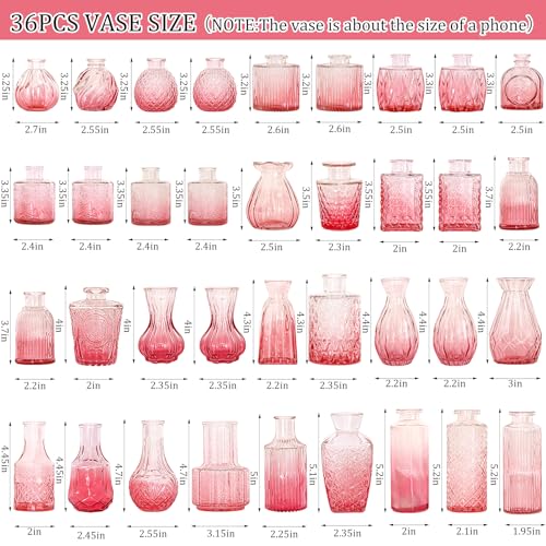Set of 36 Glass Bud Vases Small Flower Vases for Centerpieces (36 Count)