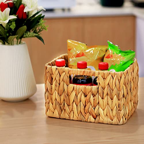 Water Hyacinth Storage Baskets (3 Count)
