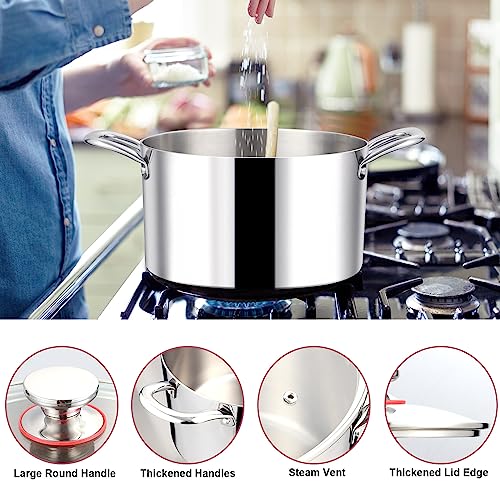 6QT 18 10 Stainless Steel Stockpot with Lid