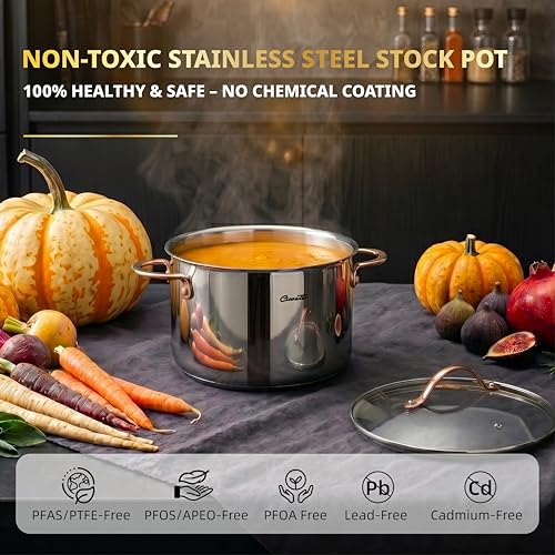 8 Quart Stock Pot