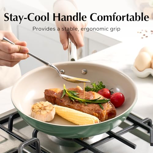 Nonstick Frying Pan Skillet