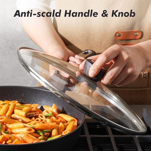9.5inch Nonstick Frying Pan Paella Pan with Lid