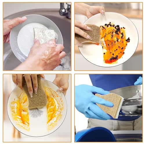 12 Pack Natural Kitchen Sponges (12 Count)