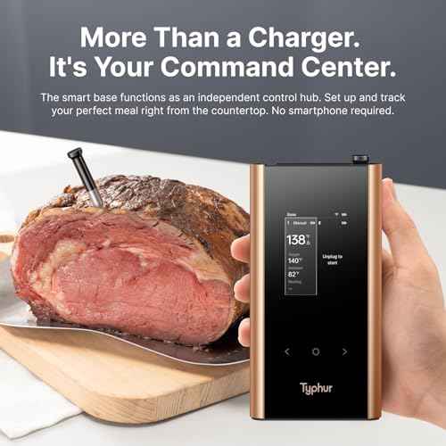 Sync Gold Dual Wireless WiFi Meat Thermometer with Carrying Case (2 Count)