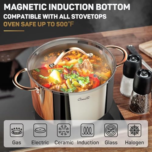 8 Quart Stock Pot