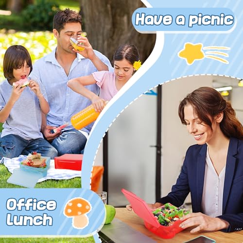 20 Oz Sandwich Containers for Kids (2 Count)